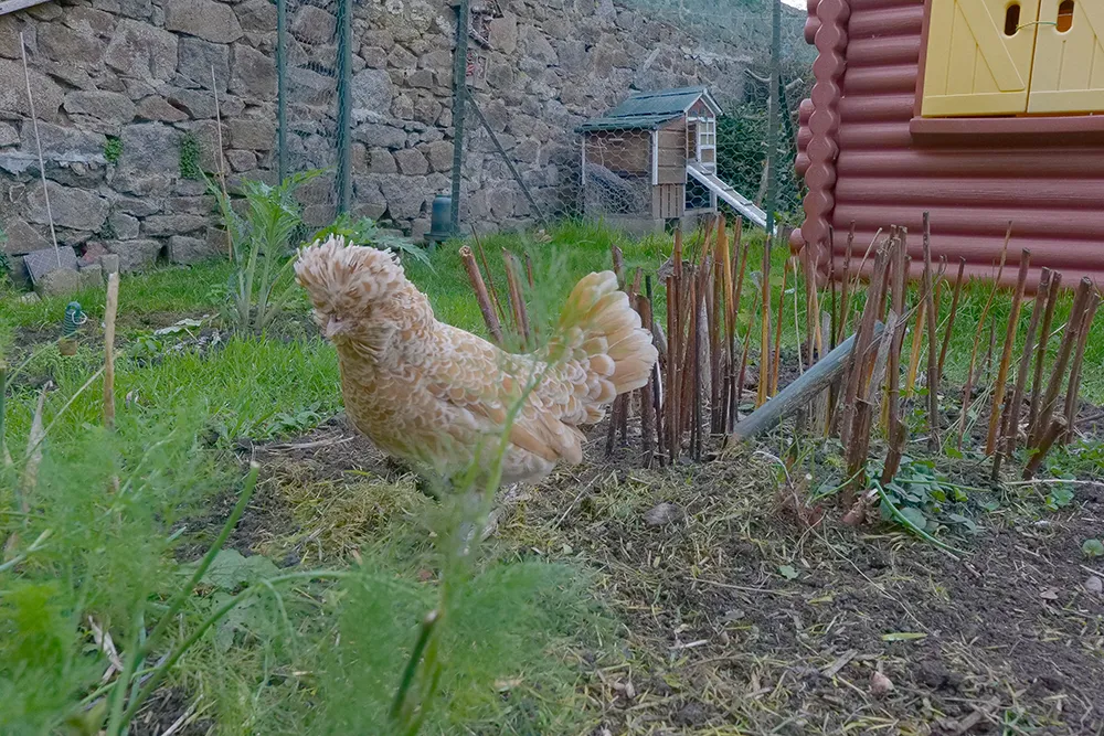 au 42 Saint-Brieuc au 42 Saint-Brieuc